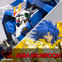 5月のタッチ&トライは「ジェミニサガ(神聖衣)」「METAL ROBOT魂 ダブルオーライザー」で開催!!