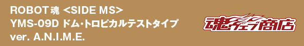 ROBOT魂 <SIDE MS> RX-78NT-1FAYMS-09D ドム・トロピカルテストタイプ ver. A.N.I.M.E.